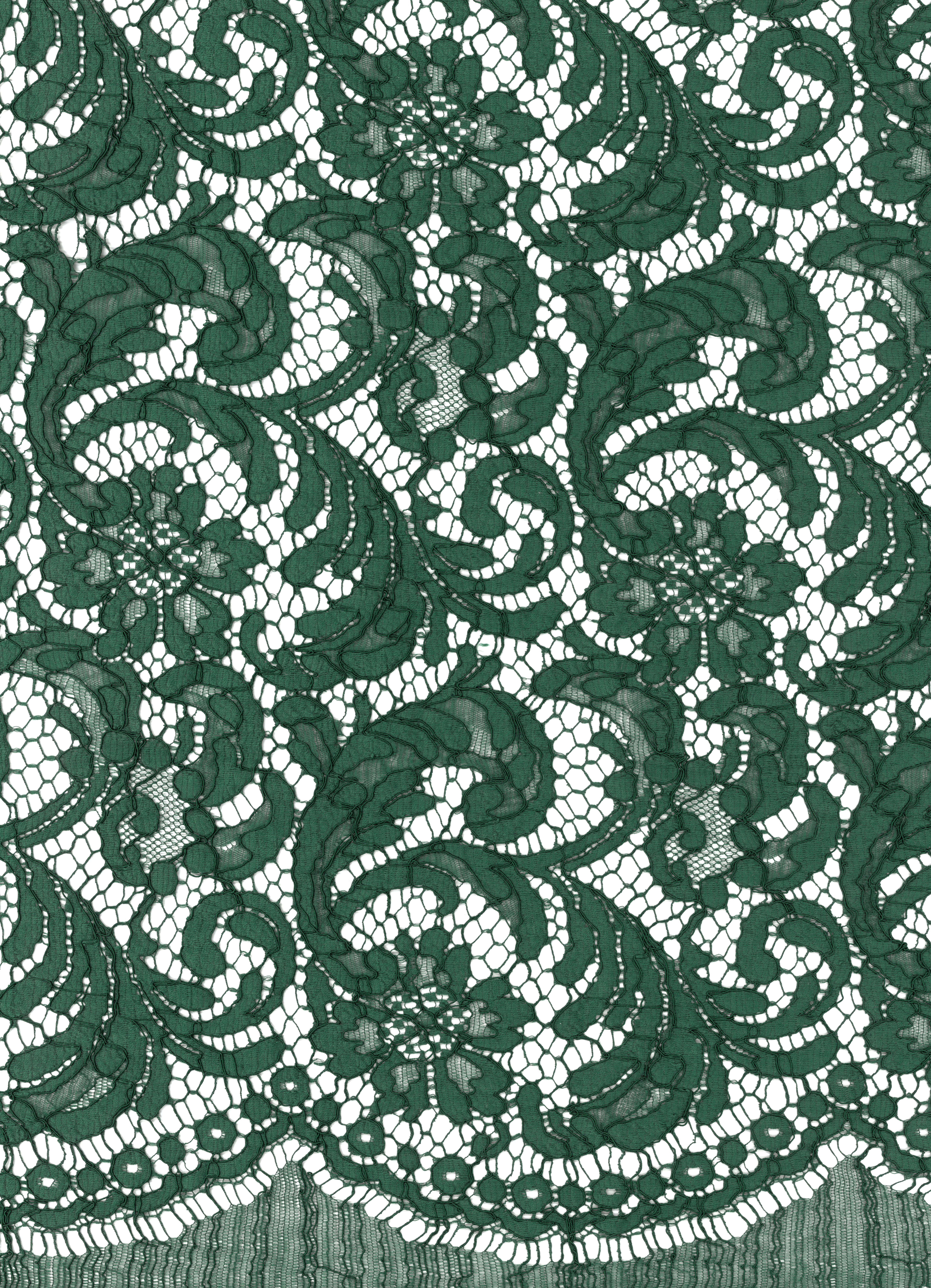 CORDED FRENCH LACE - EMERALD